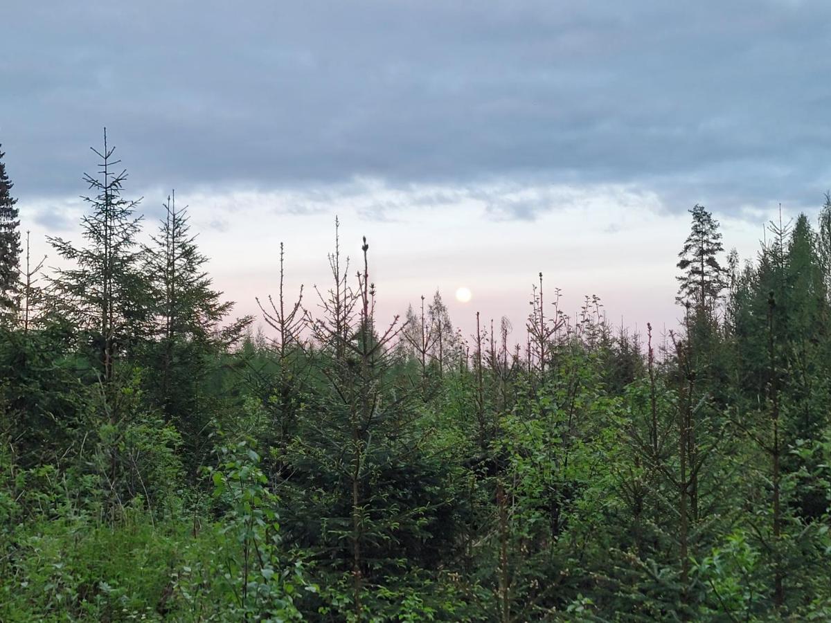 Vaelituvan Lomamoekit Punkaharju Buitenkant foto