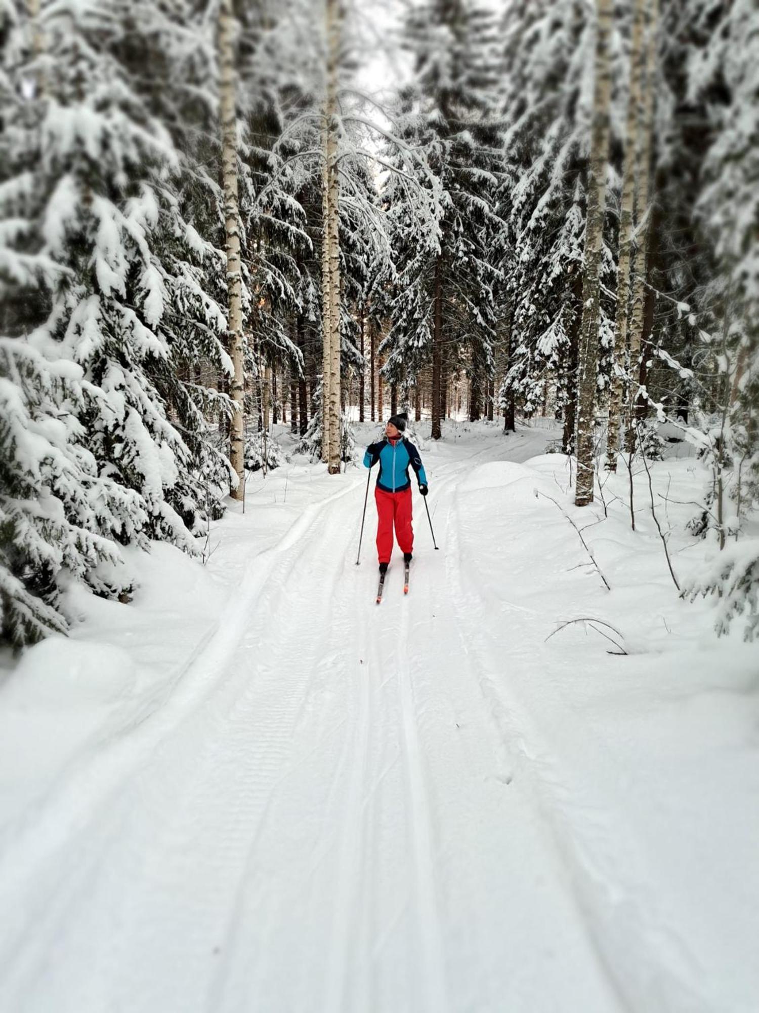 Vaelituvan Lomamoekit Punkaharju Buitenkant foto